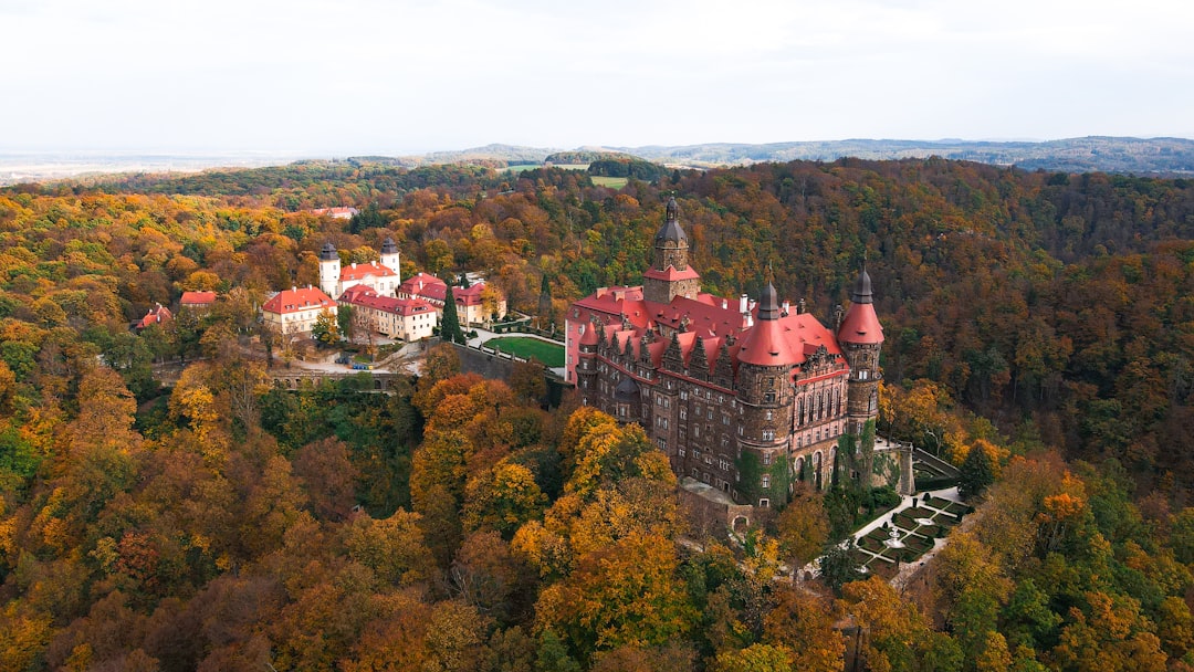 a large red castle surrounded by trees